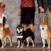 Dance - Te'a - Timmy at first Eukanuba Breeders Challenge