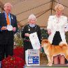 GCH Musashi Go Soushuu Choumonsou taking his 2nd National Specialty.  Musashi  or Moose appears on both sides of Kimi's pedigree, so we refer to her as a double Musashi .